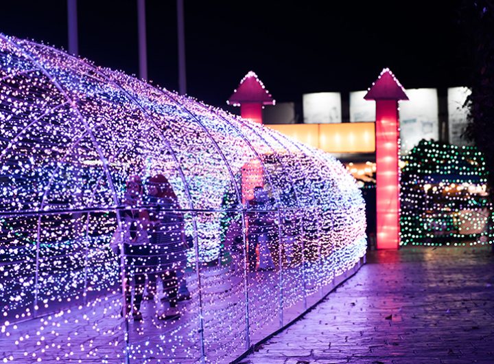 Amazing light festival.
