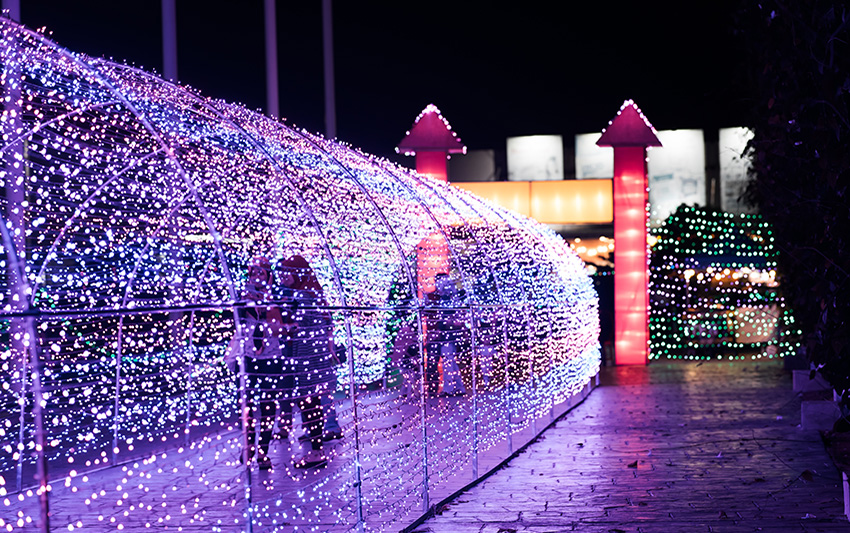 Amazing light festival.