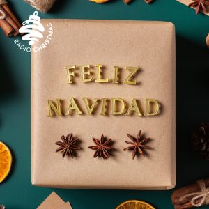 La Luz de Navidad with Julian Varela