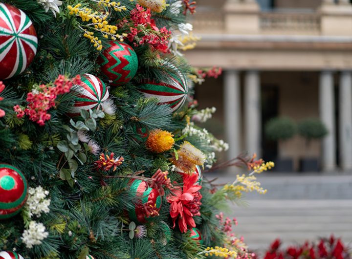 palace-christmas