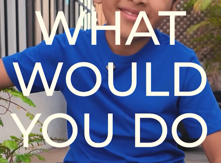 what-would-you-do2